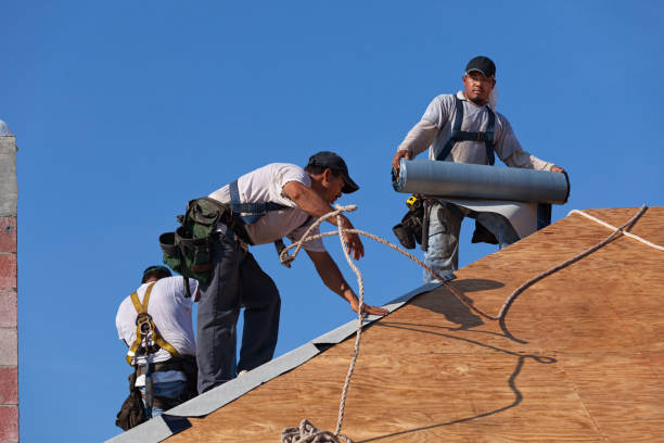 Best Roof Gutter Cleaning  in Marshall, VA